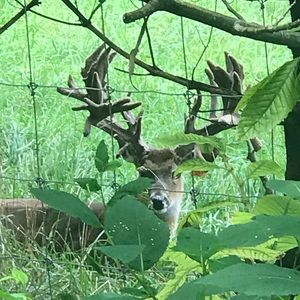 Meet your Posher, Katelyn